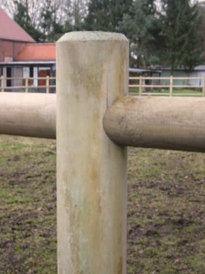 Pieu rond fraisé 1,50 m - Cavalier
