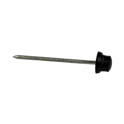 Topline clous noirs | 100 pcs.